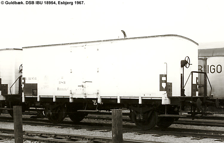 DSB IBU 18954